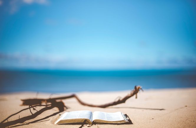 summer reading list leituras de Verão 2019